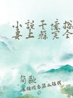 小说千亿总裁宠妻上瘾完全版