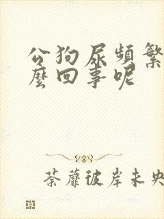 公狗尿频繁是怎么回事呢