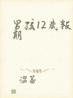 男孩12岁叛逆期
