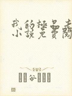 我的极品老婆 小说免费阅读