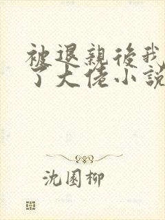 被退亲后我嫁给了大佬小说