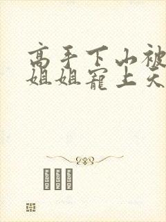 高手下山被七个姐姐宠上天下载txt