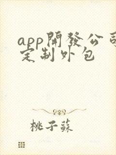 app开发公司定制外包