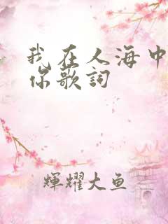 我在人海中遇见你歌词