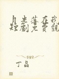 月光落在我手上短剧免费观看