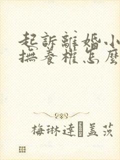 起诉离婚小孩的抚养权怎么判