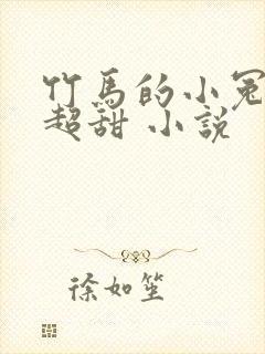 竹马的小冤家她超甜 小说
