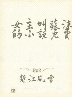 女主叫苏沫重生的小说免费阅读