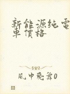 新能源纯电动轿车价格