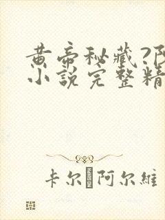 黄帝秘藏?陈启小说完整精校版
