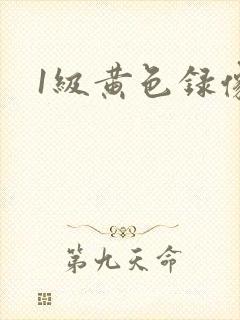 1级黄色录像.