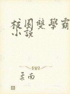 校园双学霸言情小说