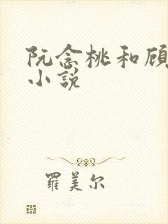 阮念桃和顾停云小说