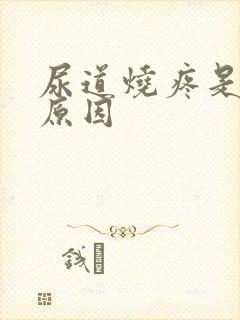 尿道烧疼是什么原因