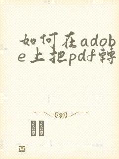 如何在adobe上把pdf转成word