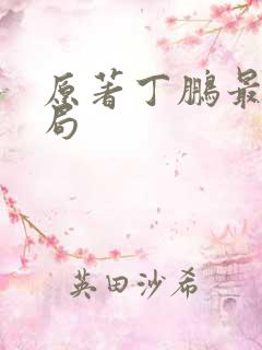 原著丁鹏最后结局