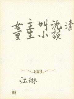 女主叫沈清梨的重生小说