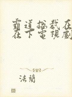霸道总裁在上我在下电视剧免费
