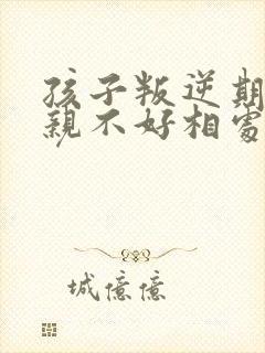 孩子叛逆期和父亲不好相处怎么办