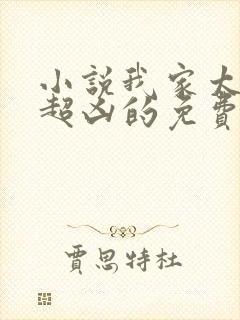 小说我家太子妃超凶的免费阅读