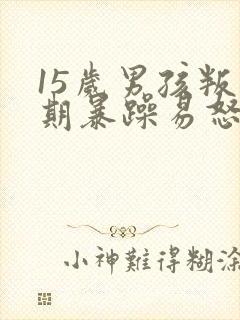 15岁男孩叛逆期暴躁易怒怎么办