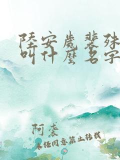 陆安岁裴殊小说叫什么名字