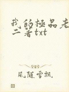 我的极品老婆小二著txt