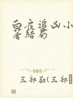 白夜追凶小说原著结局