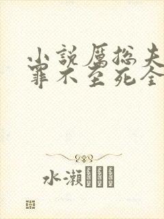 小说厉总夫人她罪不至死全集