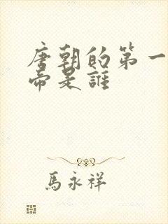 唐朝的第一任皇帝是谁