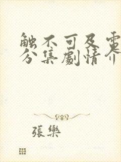 触不可及电视剧分集剧情介绍