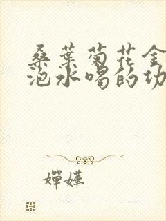 桑叶菊花金银花泡水喝的功效