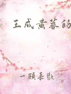 王成黄蓉的小说