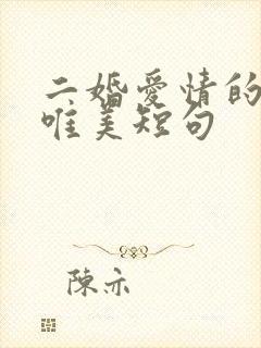 二婚爱情的句子唯美短句