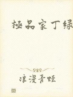极品家丁绿帽篇