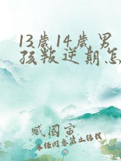 13岁14岁男孩叛逆期怎么办