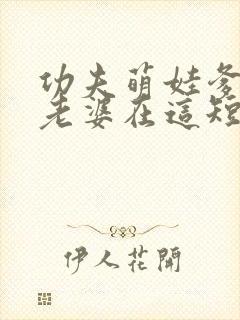 功夫萌娃爹地你老婆在这短剧免费