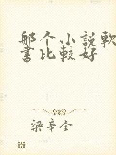 那个小说软件听书比较好