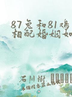 87兔和81鸡相配婚姻如何