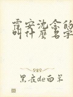 霍安沈念的小说叫什么名字