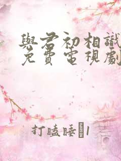与君初相识在线免费电视剧
