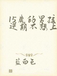 15岁的男孩叛逆期不想上学