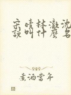 宋晴林澈沈昊小说叫什么名字
