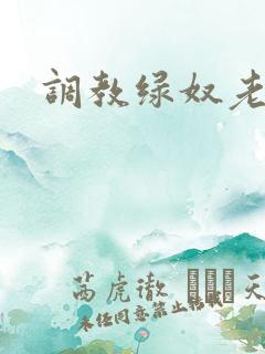 调教绿奴老公