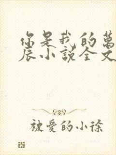 你是我的万千星辰小说全文