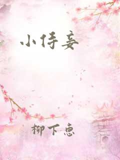 小侍妾
