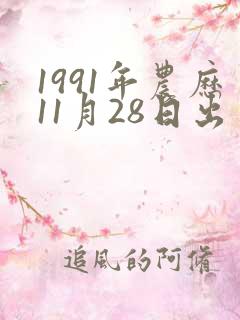 1991年农历11月28日出生八字