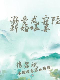 溺爱成宠陆总的新婚哑妻