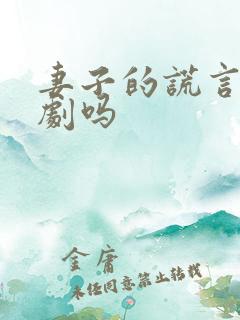 妻子的谎言是韩剧吗