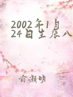 2002年1月24日生辰八字